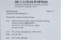 登錄號:F0039377藏品圖，第2張