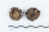 登錄號:F0039379藏品圖，第1張