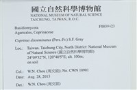 登錄號:F0039423藏品圖，第2張