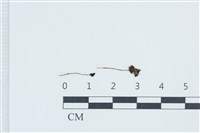 登錄號:F0039423藏品圖，第1張