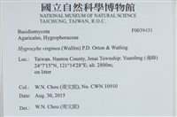 登錄號:F0039431藏品圖，第2張