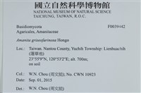 登錄號:F0039442藏品圖，第2張