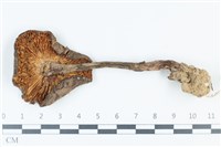登錄號:F0039442藏品圖，第3張