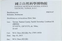 登錄號:F0039447藏品圖，第2張