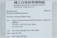登錄號:F0039459藏品圖，第2張