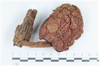 登錄號:F0039459藏品圖，第1張