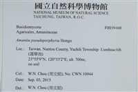 登錄號:F0039460藏品圖，第2張