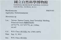 小皮傘屬藏品圖，第2張