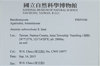 登錄號:F0039486藏品圖，第2張