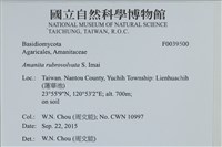 登錄號:F0039500藏品圖，第2張