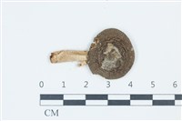登錄號:F0039500藏品圖，第1張