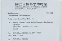 登錄號:F0039502藏品圖，第2張