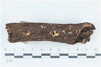 登錄號:F0039507藏品圖，第1張