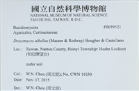 登錄號:F0039521藏品圖，第2張