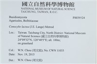 登錄號:F0039524藏品圖，第2張