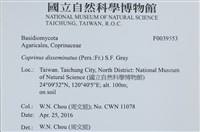 登錄號:F0039553藏品圖，第2張