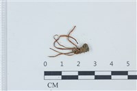 登錄號:F0039553藏品圖，第1張