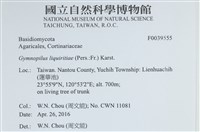 登錄號:F0039555藏品圖，第2張