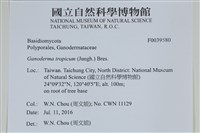 登錄號:F0039580藏品圖，第2張