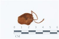 登錄號:F0039600藏品圖，第3張