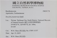 登錄號:F0039778藏品圖，第2張