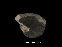 瓦當藏品圖，第2張