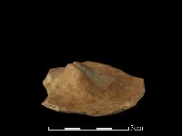 陶蓋藏品圖，第2張