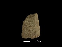 矛鏃形器藏品圖，第2張