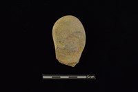 石材藏品圖，第2張