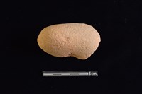 石材藏品圖，第2張