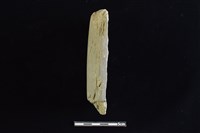 磨製石器藏品圖，第3張