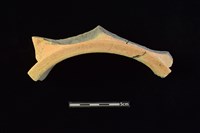 陶罐藏品圖，第3張