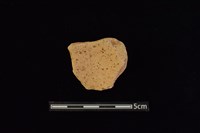 陶片藏品圖，第2張