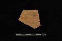 陶片藏品圖，第1張