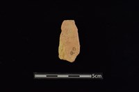 陶片藏品圖，第2張