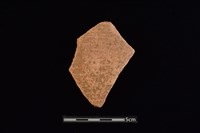 陶片藏品圖，第1張