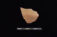 折肩藏品圖，第2張