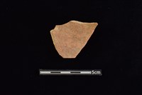 折肩藏品圖，第3張