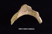 陶罐藏品圖，第3張