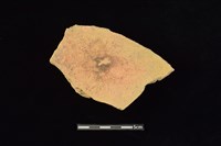 陶片藏品圖，第2張