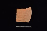 陶片藏品圖，第1張