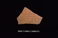 陶片藏品圖，第1張