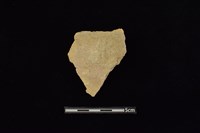 陶片藏品圖，第2張