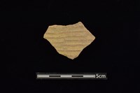 陶片藏品圖，第1張