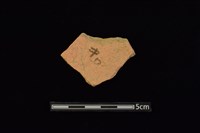 陶片藏品圖，第2張