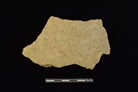 陶片藏品圖，第1張