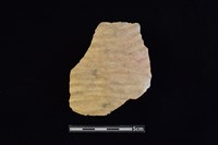 陶片藏品圖，第1張