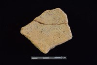 陶片藏品圖，第2張