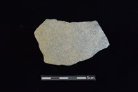 陶片藏品圖，第1張