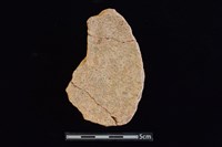 陶片藏品圖，第2張